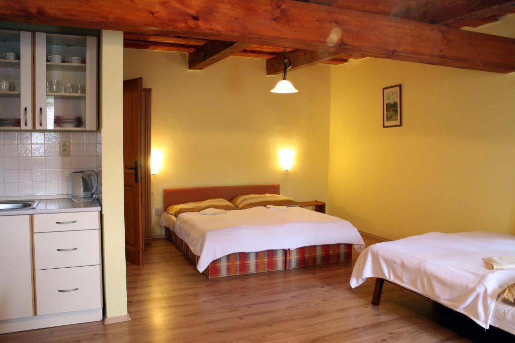Penzion Kremenisko Banská Štiavnica 部屋 写真