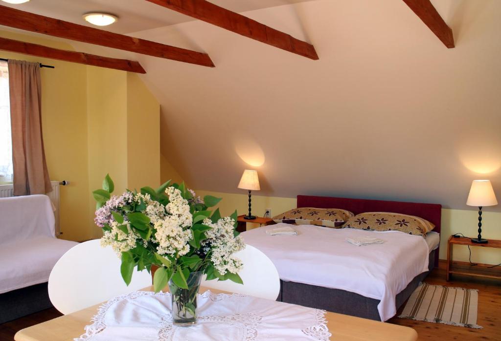 Penzion Kremenisko Banská Štiavnica 部屋 写真